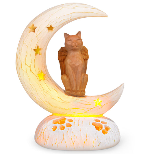 Orange Cat on Moon with LED light