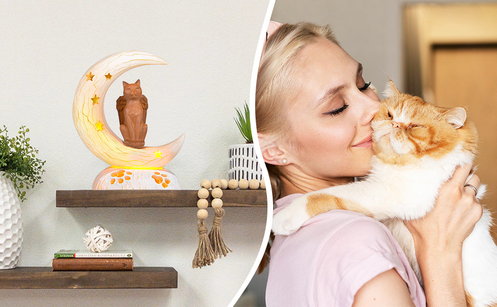 Orange_Cat_on_Moon_with_LED_light_friend