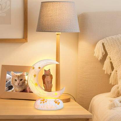 Orange_Cat_on_Moon_with_LED_light_in_bedroom