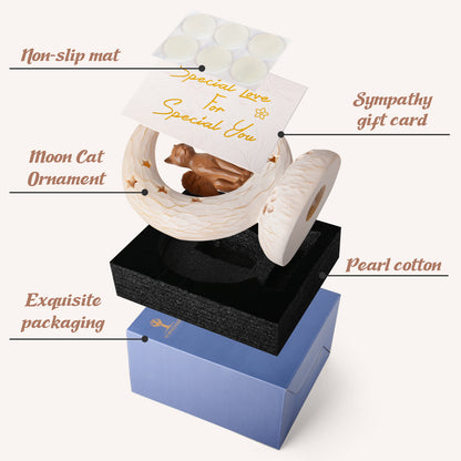 Orange_Cat_on_Moon_with_LED_light_package_detail