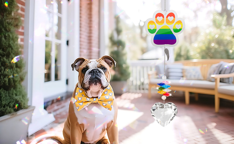 suncatcher acrylic rainbow paw clear heart-shaped pendant hang in the yard under the sunshine