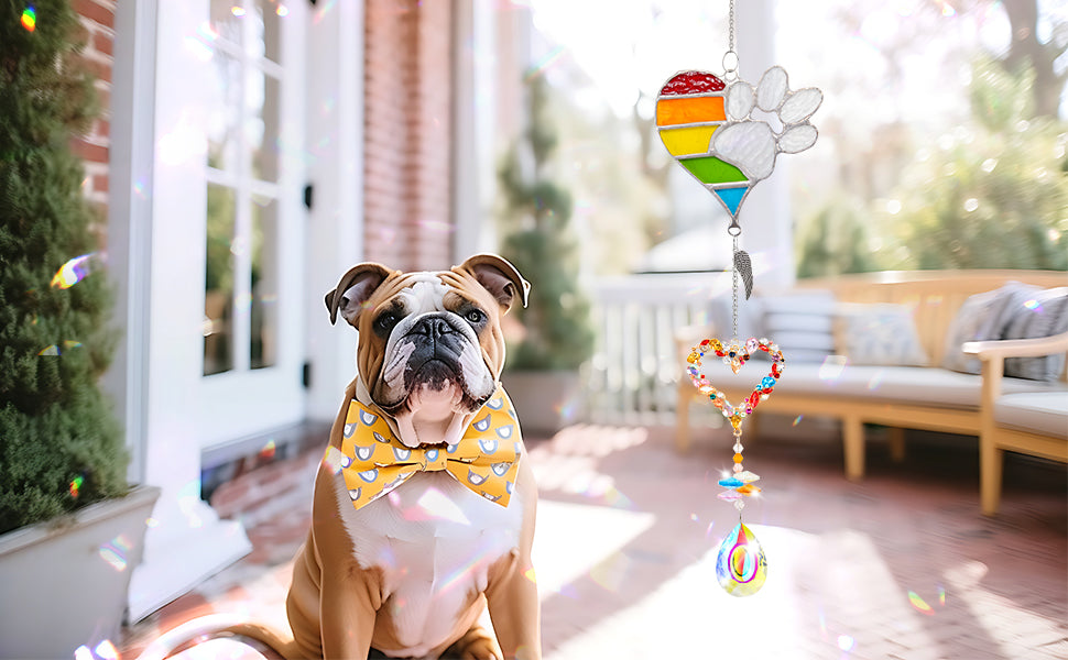 suncatcher metal rainbow paw and  heart-shaped rainbow pendant and teardrop crystal pendant in the yard under the sunshine